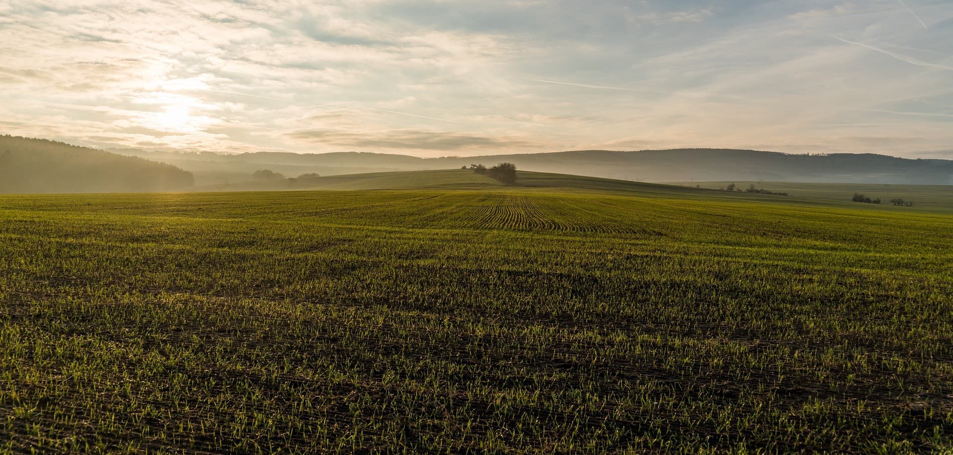 Picture of farmland