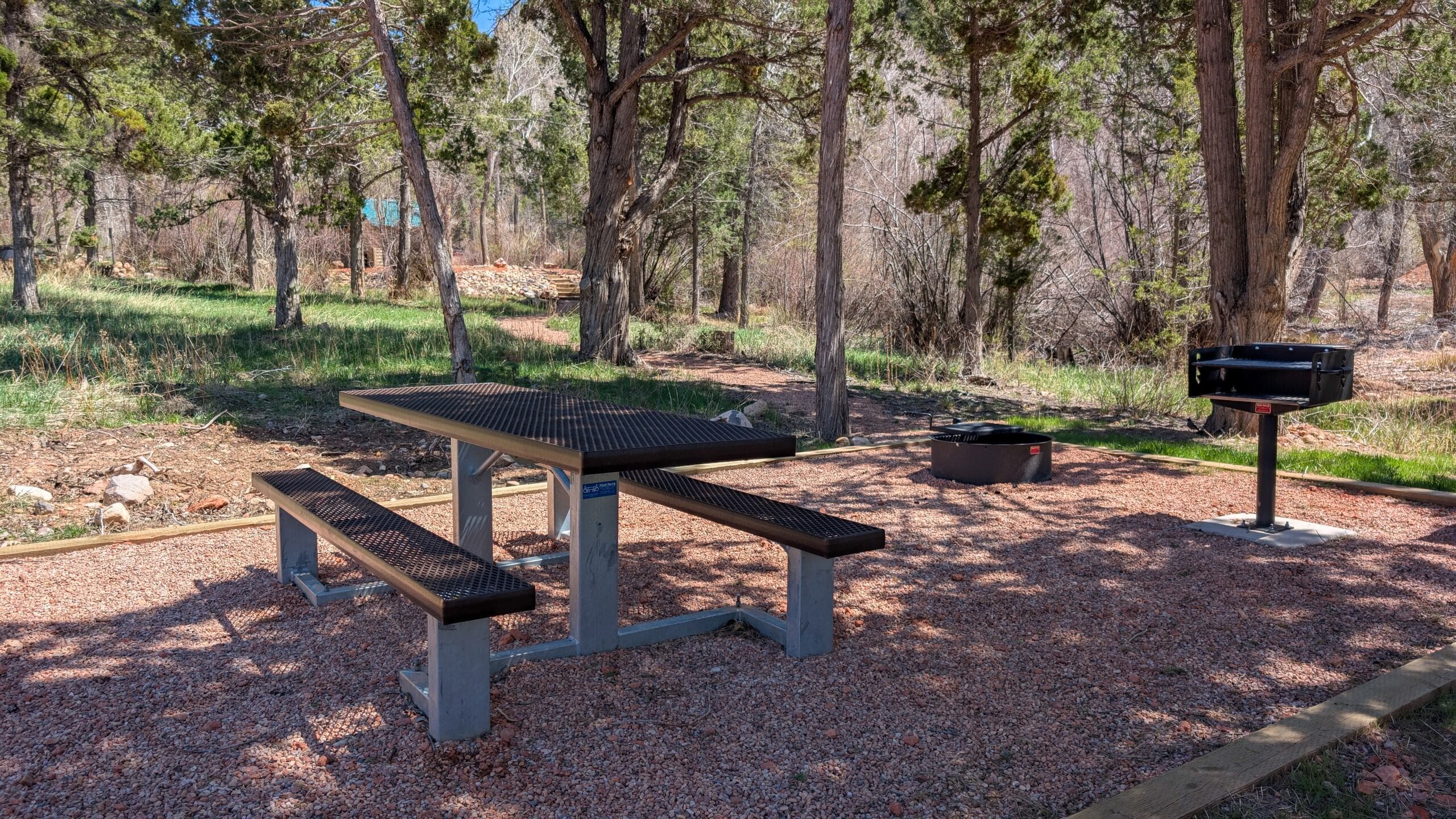 A serene picnic spot at Five Mile.