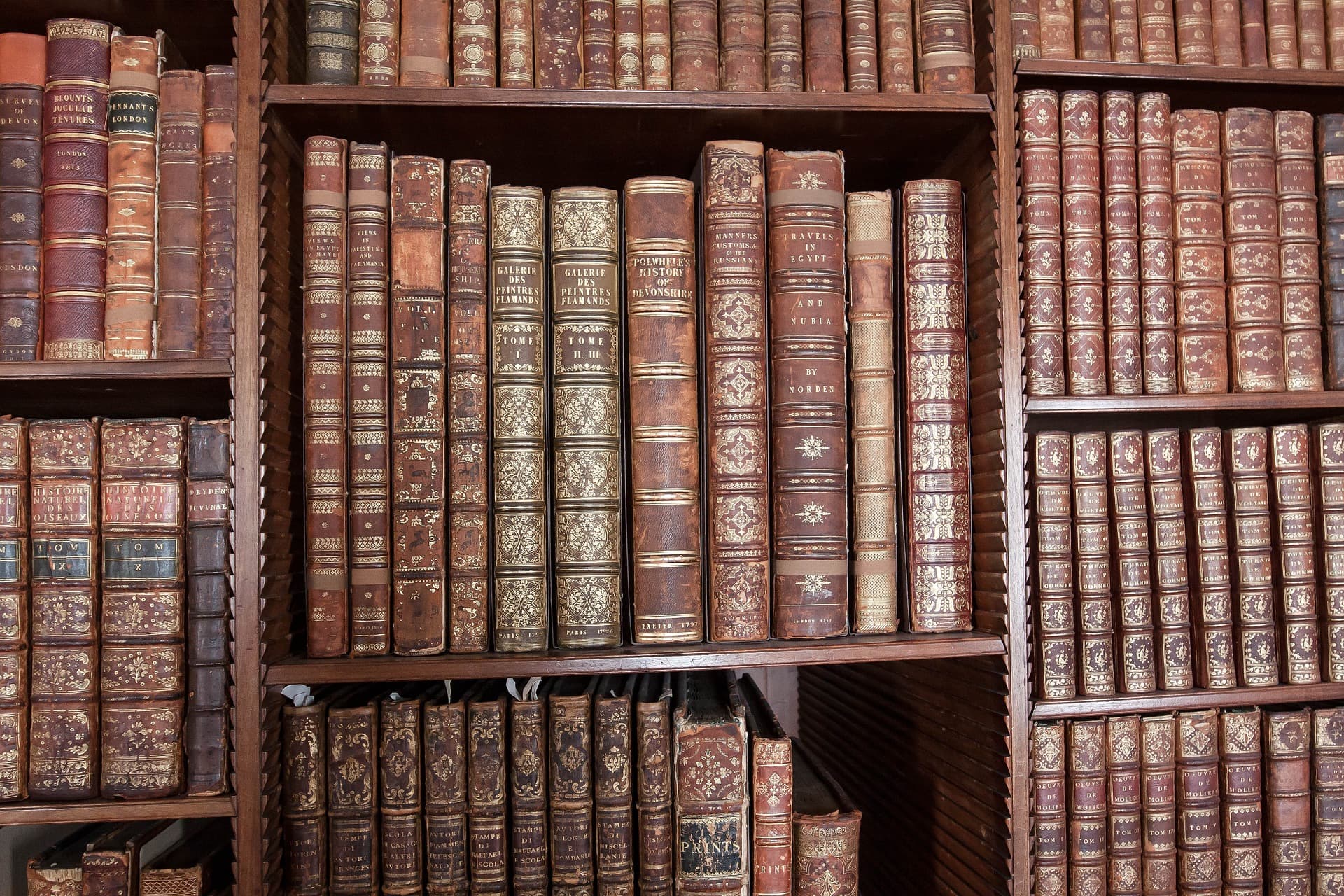 Library shelfs full of books