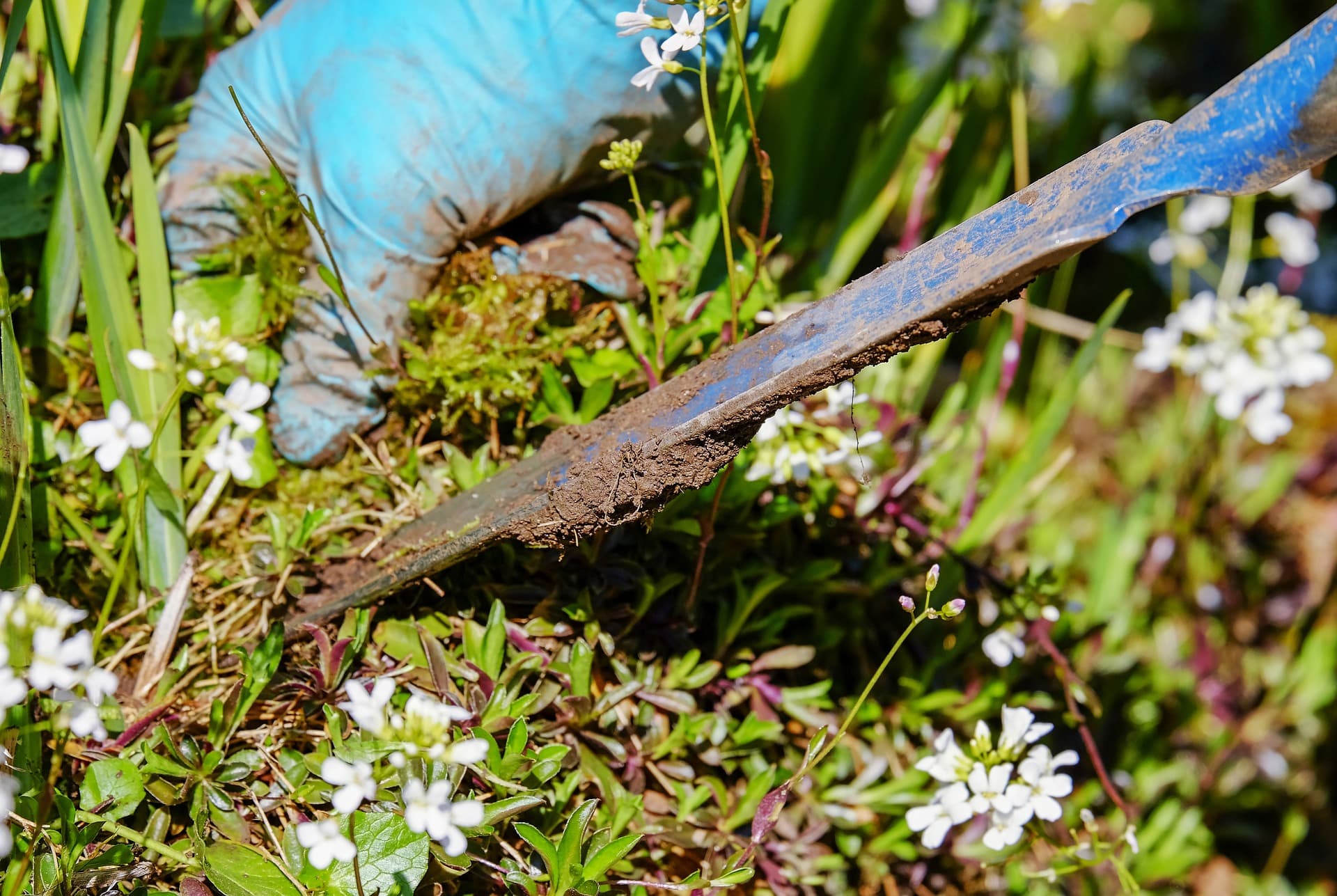 Picture of weeds getting dug up